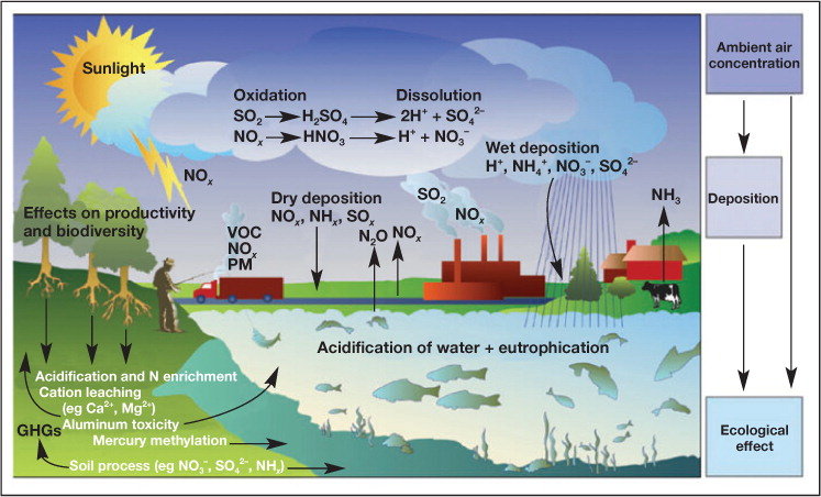 Pollution